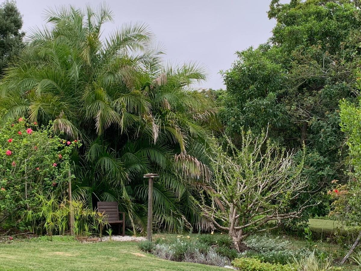 Garden Cottage In Ambiente Guest House Knysna Kültér fotó